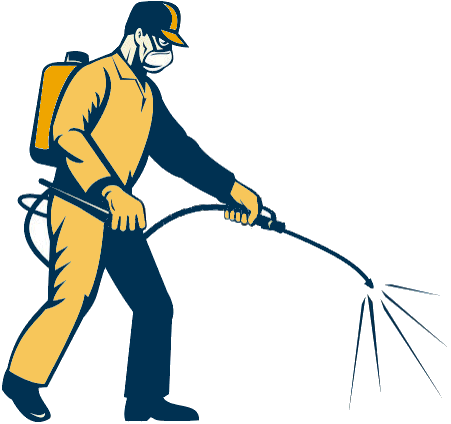 Pest Control. Pest Control Company Malaga